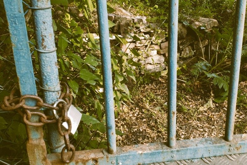 grille.jpg