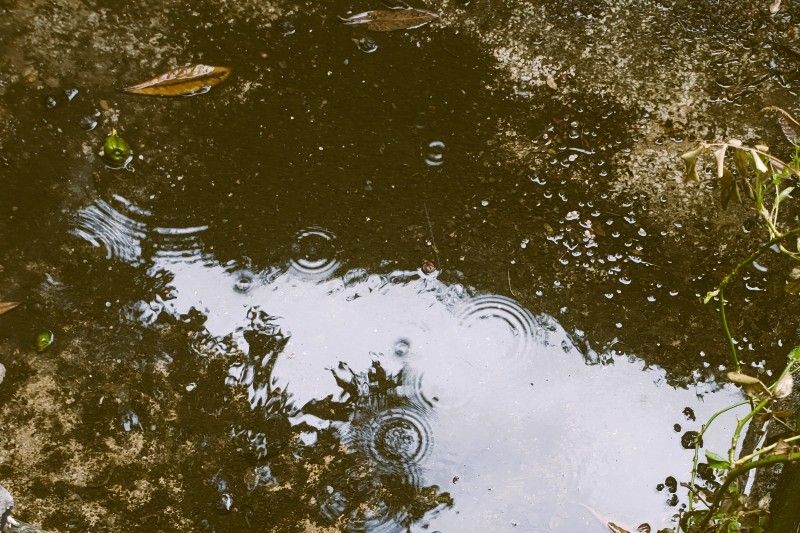 trou-eau.jpg